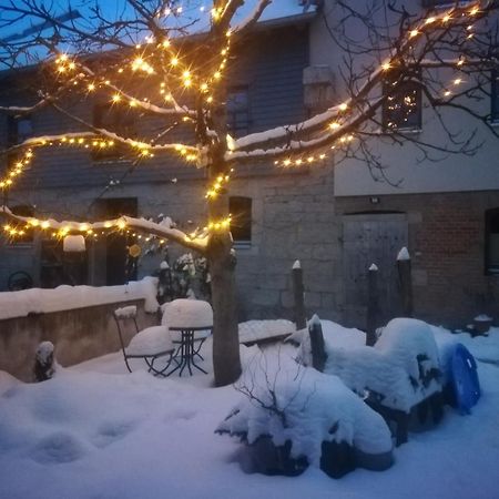 Ferienhof"Waldesel Rippersroda" Екстериор снимка