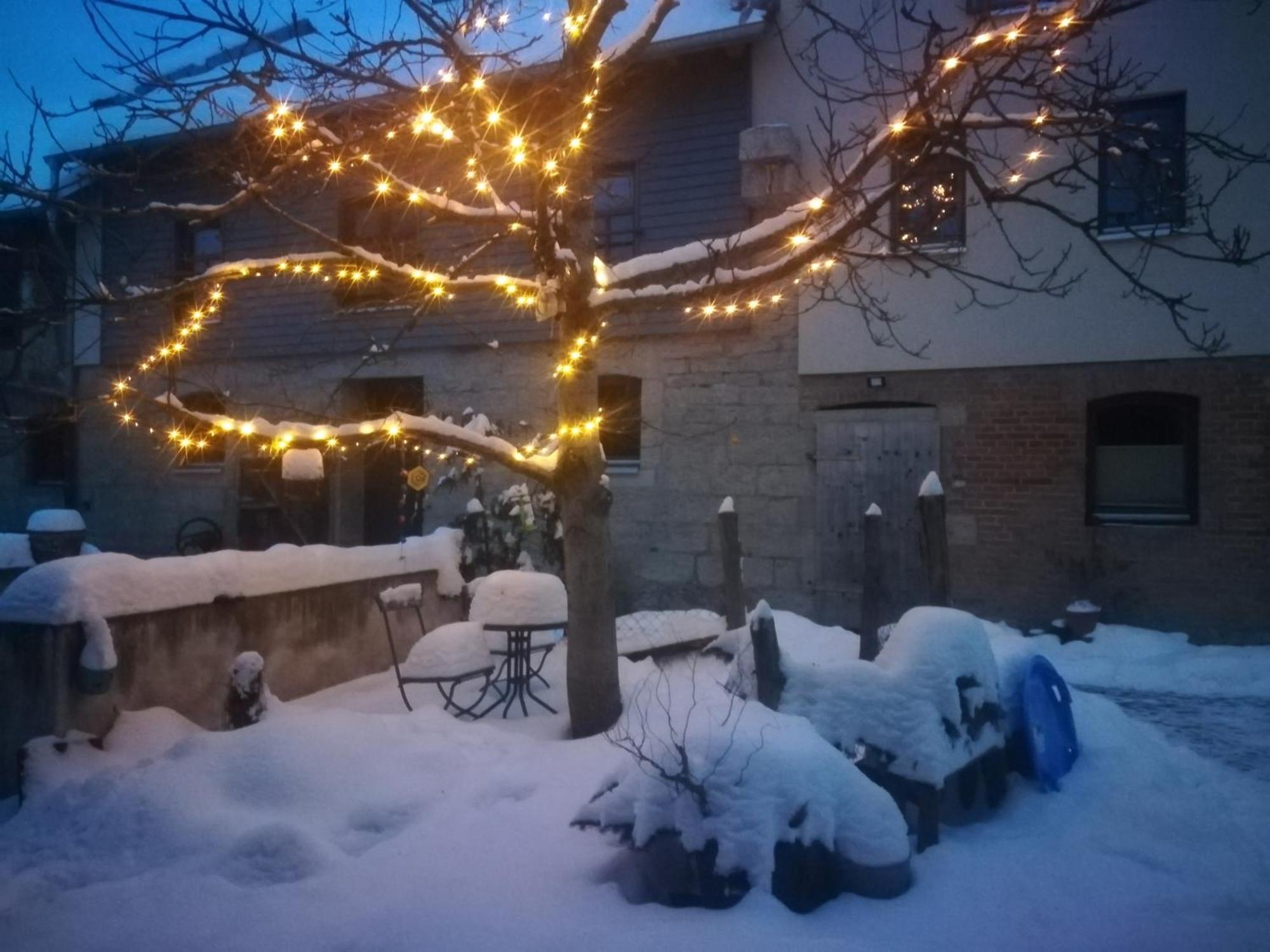 Ferienhof"Waldesel Rippersroda" Екстериор снимка