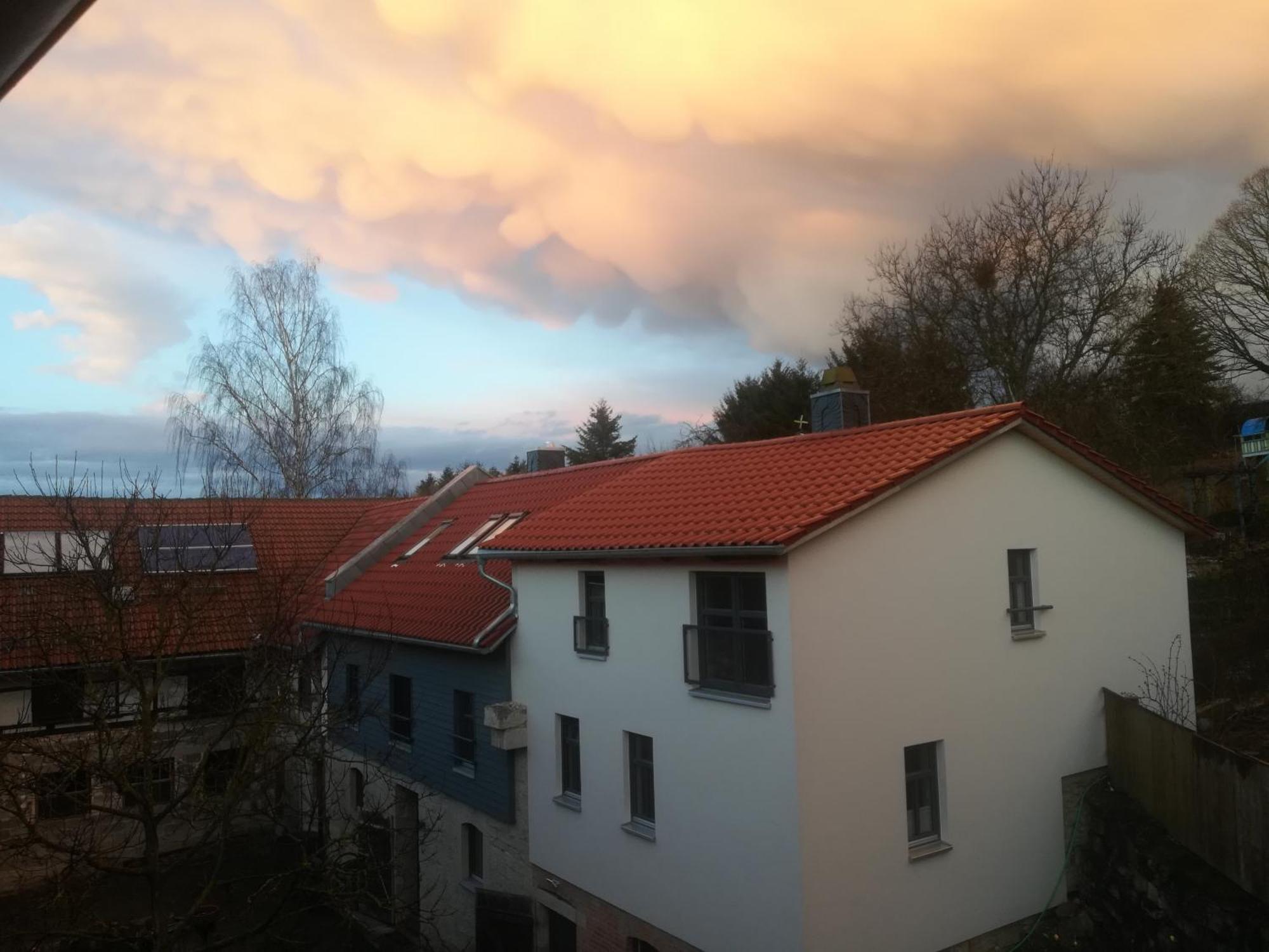 Ferienhof"Waldesel Rippersroda" Екстериор снимка