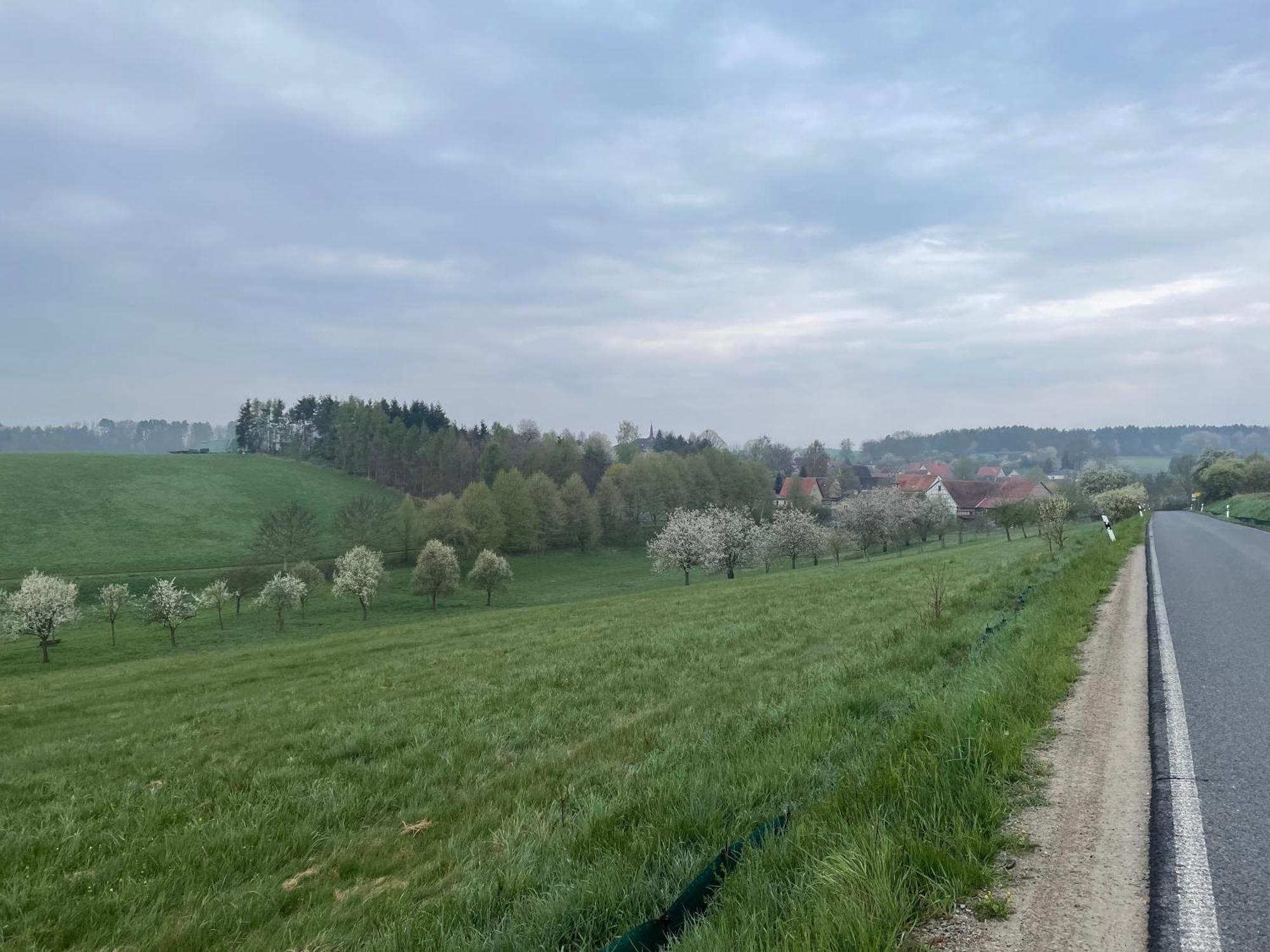 Ferienhof"Waldesel Rippersroda" Екстериор снимка