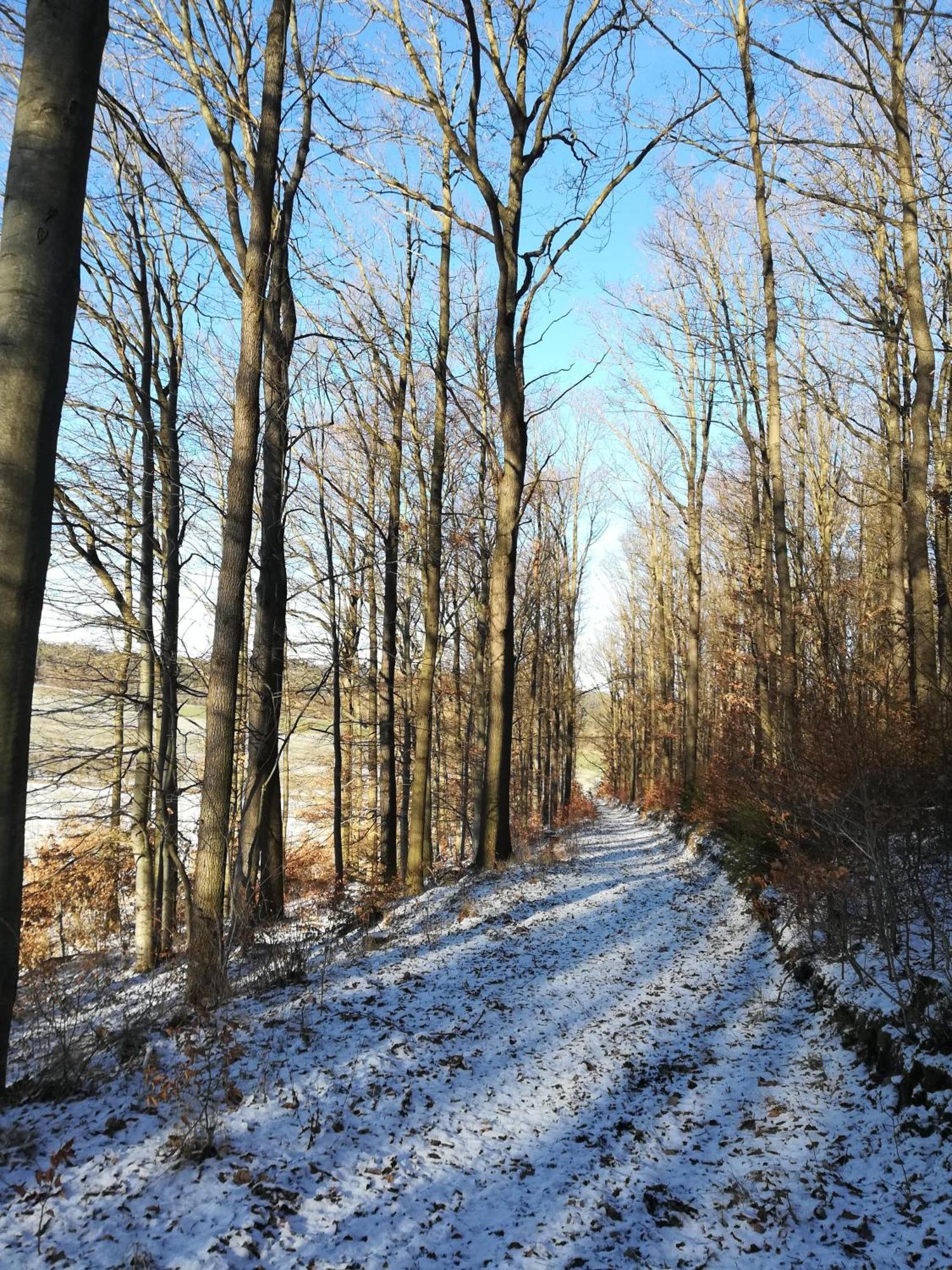 Ferienhof"Waldesel Rippersroda" Екстериор снимка