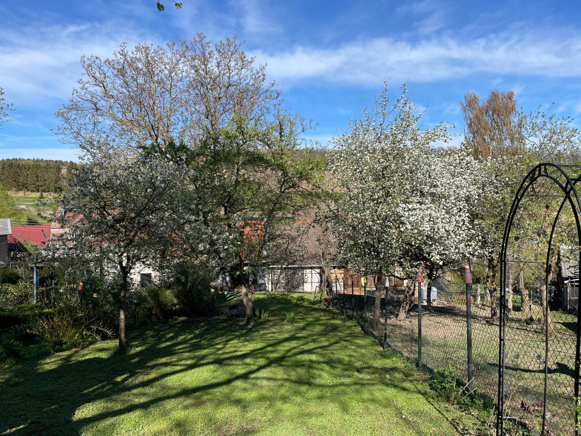 Ferienhof"Waldesel Rippersroda" Екстериор снимка