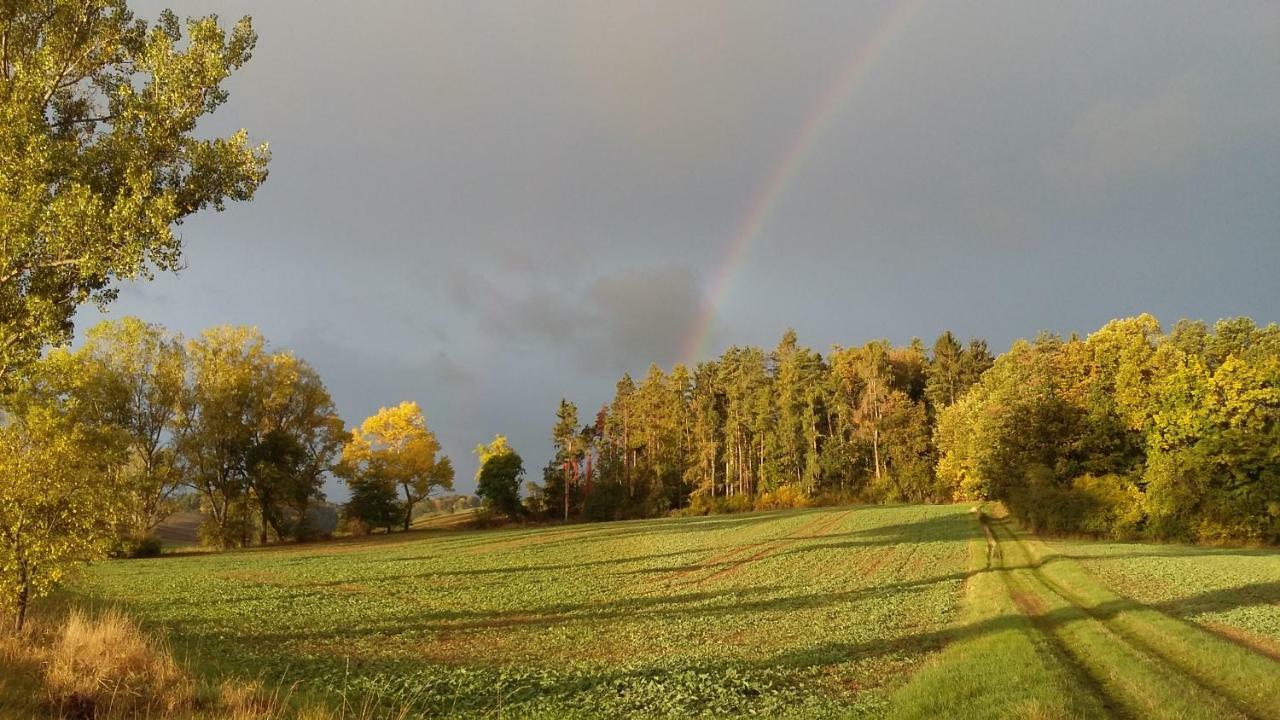 Ferienhof"Waldesel Rippersroda" Екстериор снимка