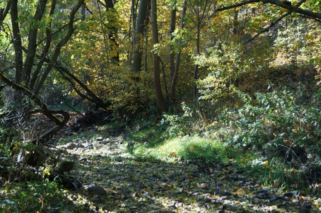 Ferienhof"Waldesel Rippersroda" Екстериор снимка